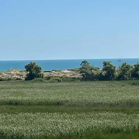 Pearl Sunshine Appartments Apartamento *